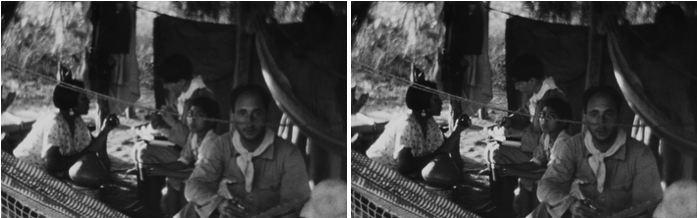 ArticleBrumCoutinho Fig 2-3